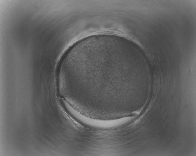 X0000068271506200604281538