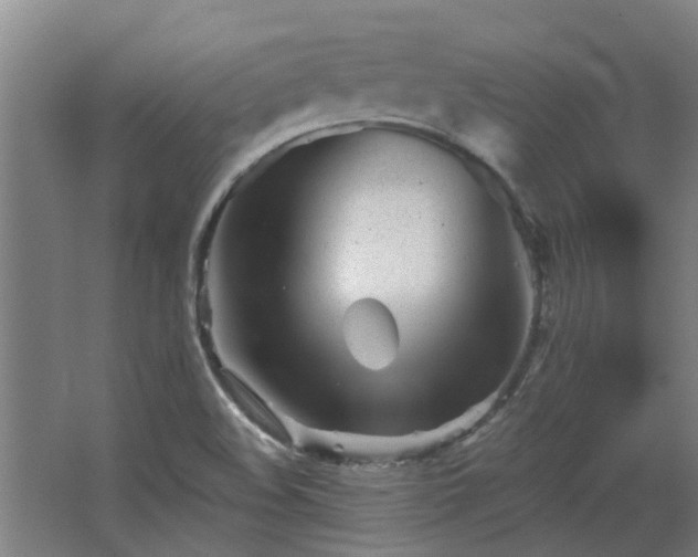 X0000068271508200604281538