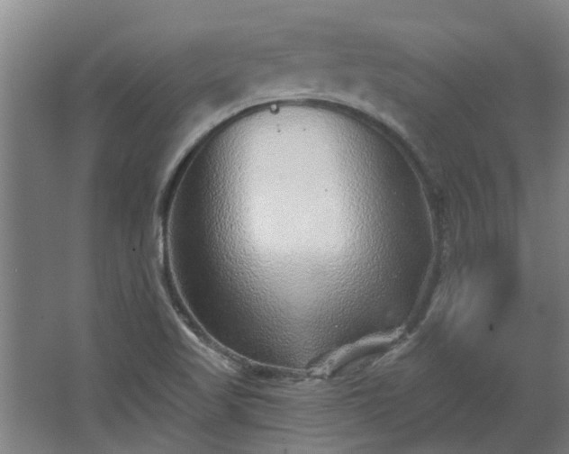 X0000068271509200604281538