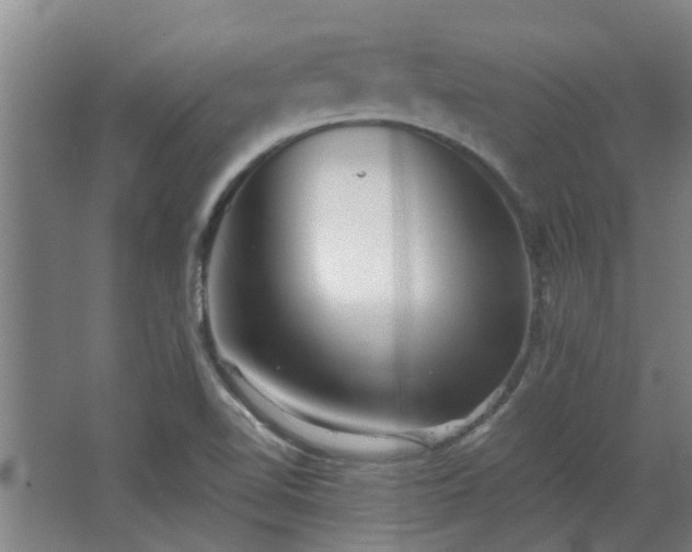 X0000068271510200604281538