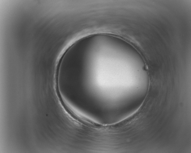 X0000068271512200604281538