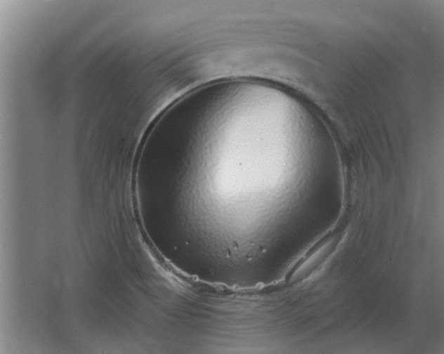 X0000068271513200604281538