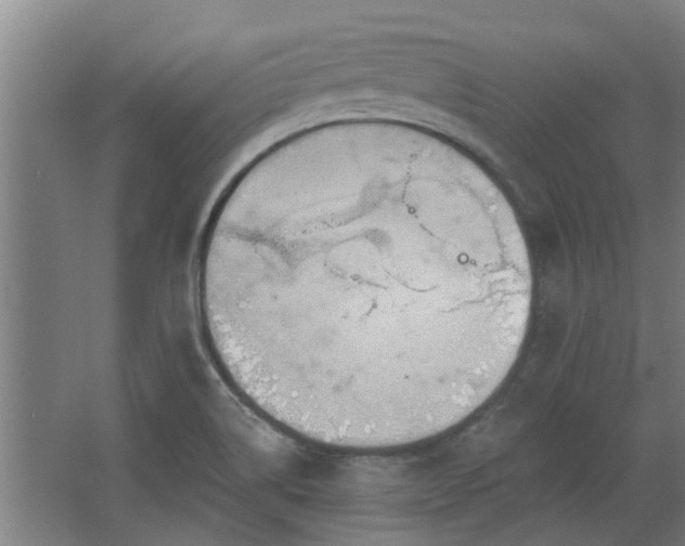 X0000068271514200604281538