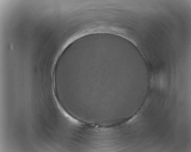 X0000068271515200604281538