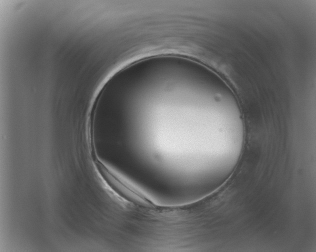 X0000068271516200604281538