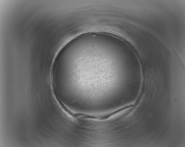 X0000068271517200604281538