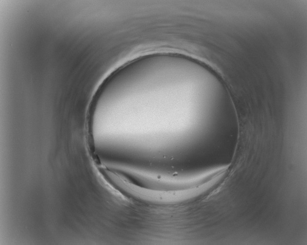 X0000068271518200604281538