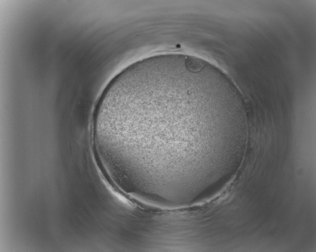 X0000068271519200604281538