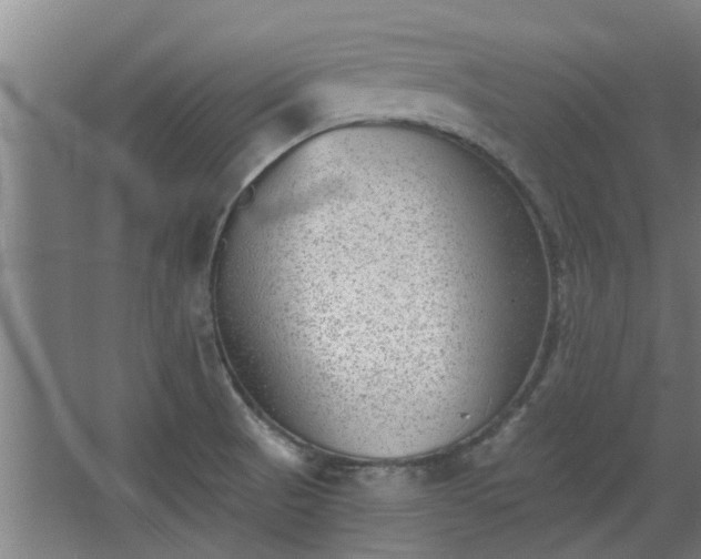 X0000068271521200604281538