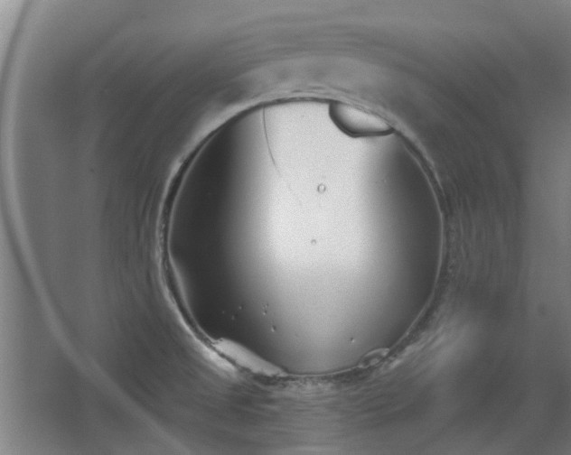 X0000068271525200604281538