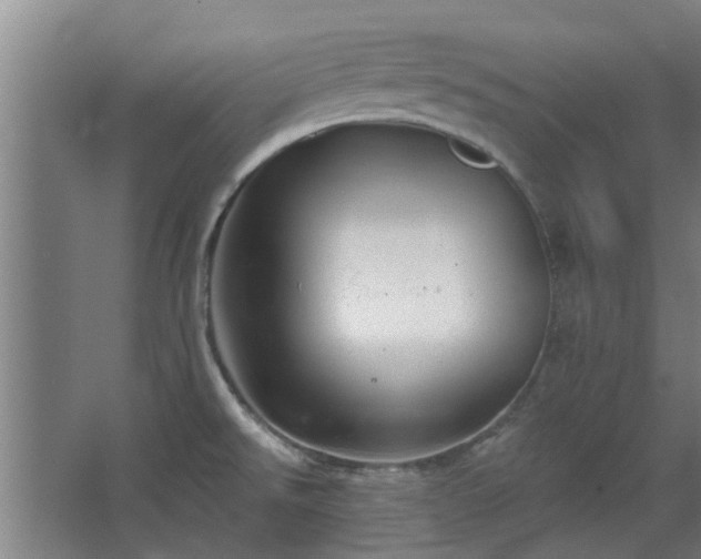 X0000068271526200604281538