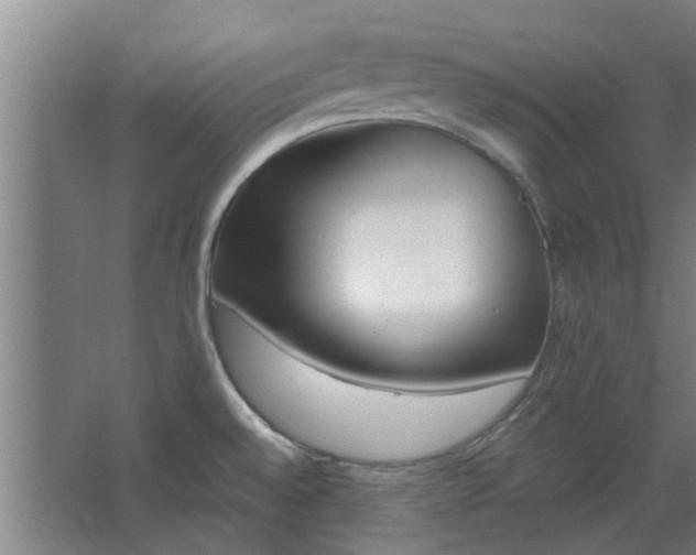 X0000068271528200604281538