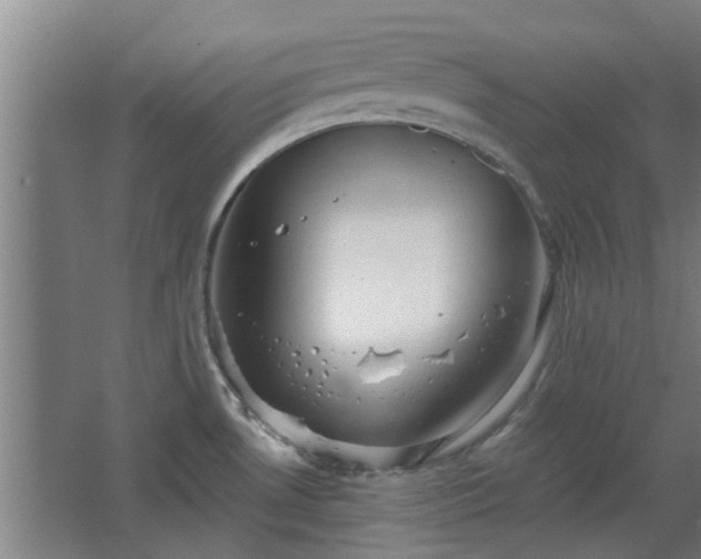 X0000068271530200604281538