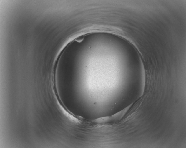 X0000068271531200604281538