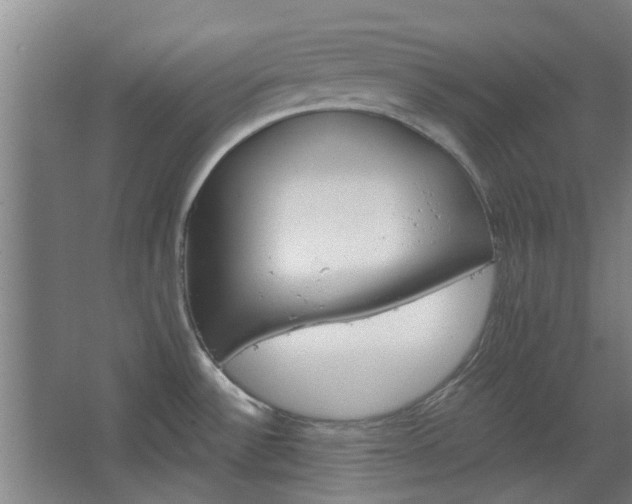 X0000068271532200604281538