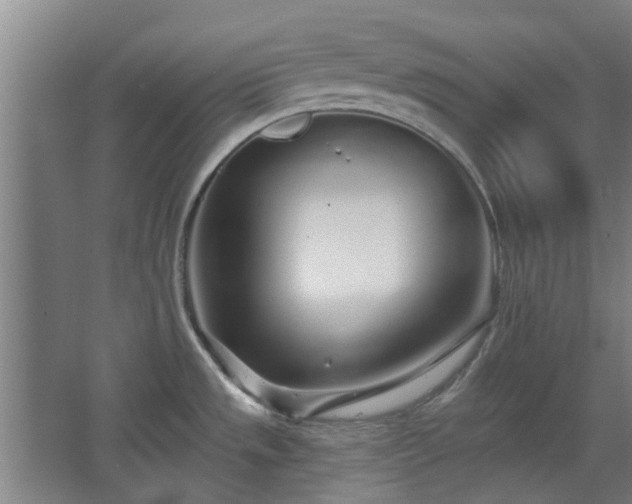 X0000068271533200604281538