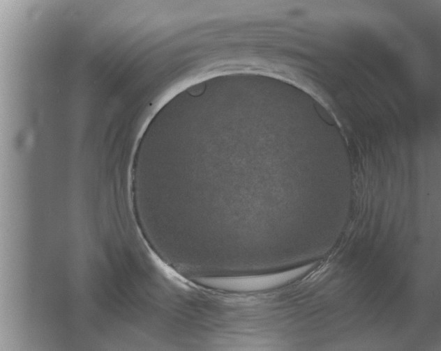 X0000068271535200604281538