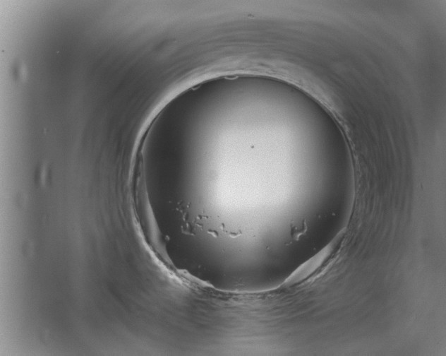 X0000068271536200604281538