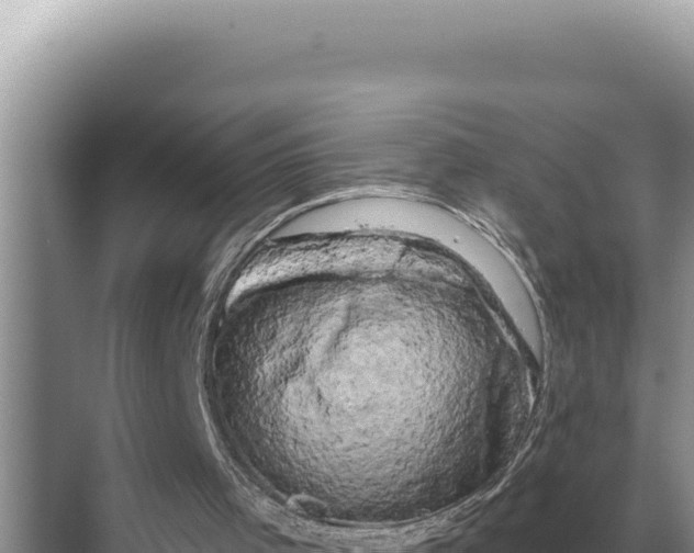 X0000068270001200605051827