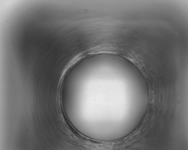 X0000068270004200605051827