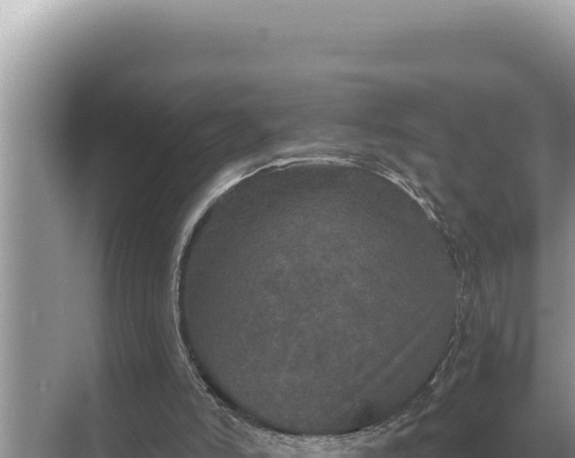 X0000068270006200605051827