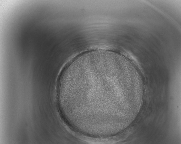 X0000068270012200605051827