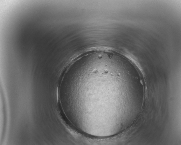 X0000068270013200605051827