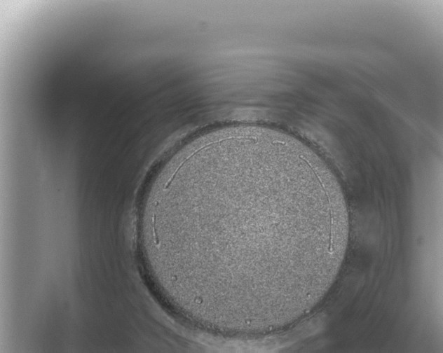 X0000068270016200605051827