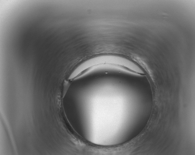 X0000068270017200605051827