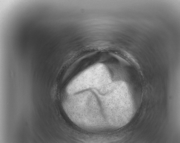 X0000068270018200605051827