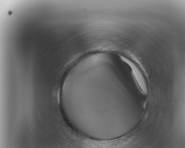 X0000068270019200605051827