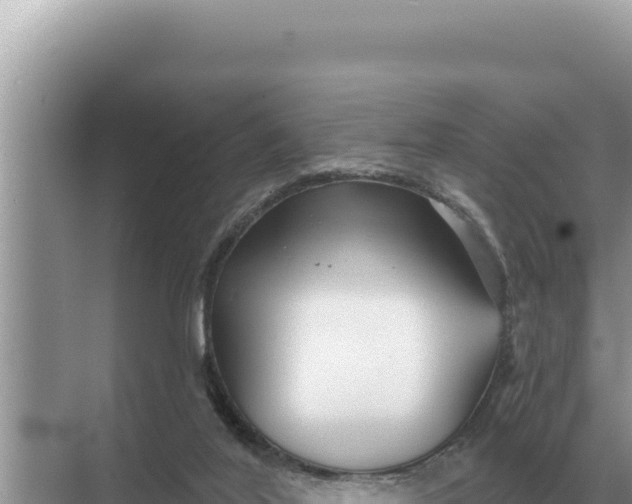 X0000068270020200605051827