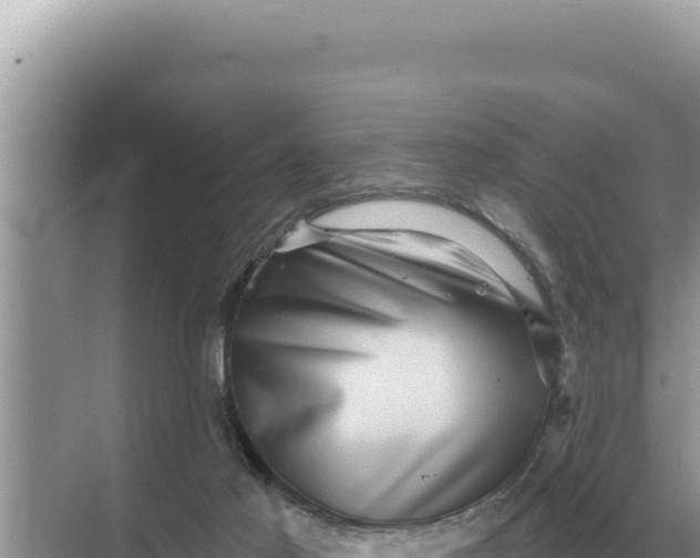 X0000068270021200605051827