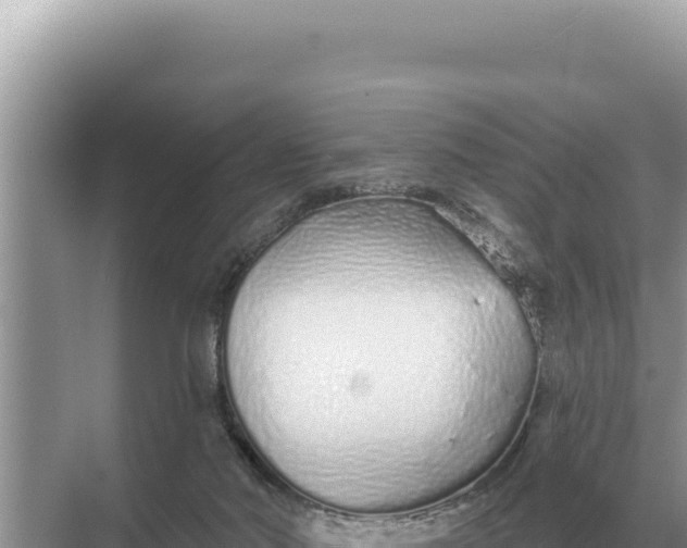 X0000068270022200605051827