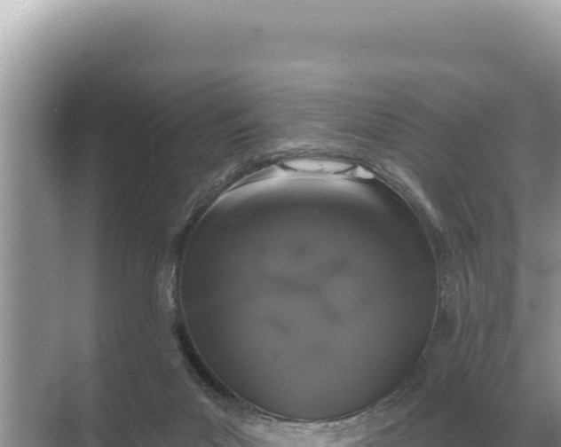 X0000068270023200605051827