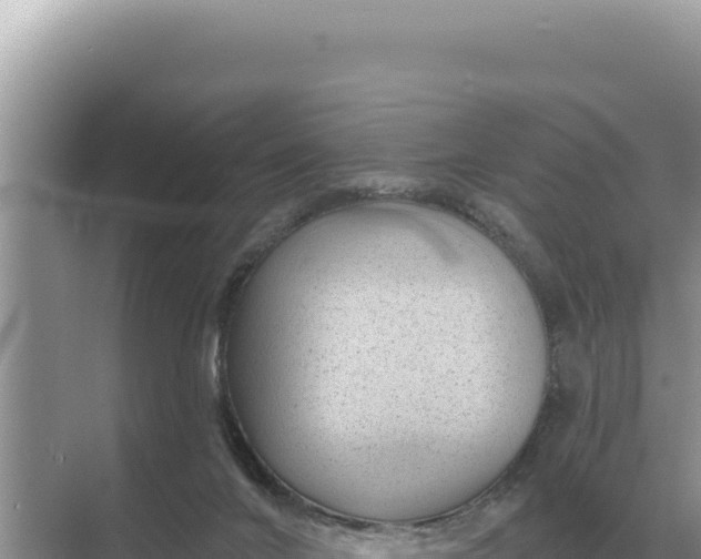 X0000068270024200605051827