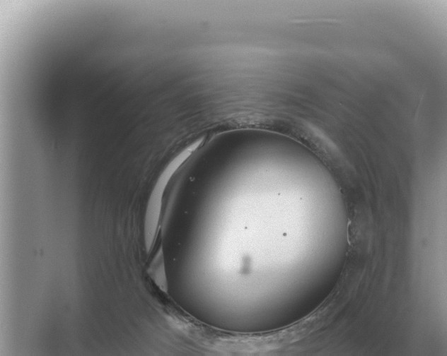 X0000068270025200605051826