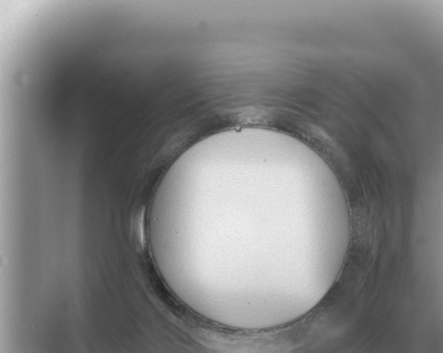 X0000068270028200605051826