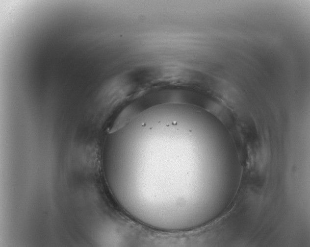 X0000068270029200605051826