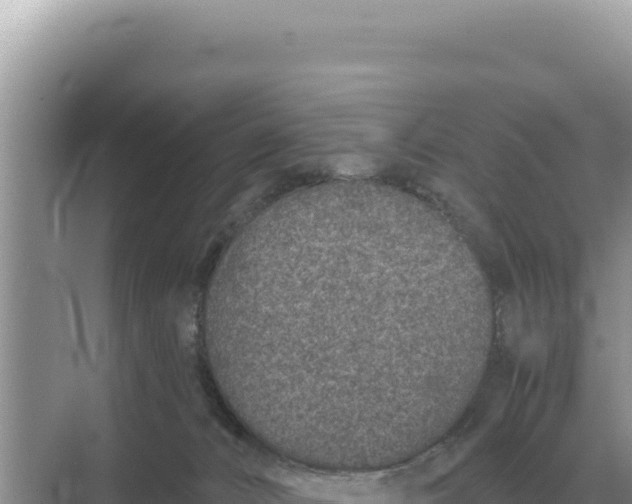 X0000068270032200605051826