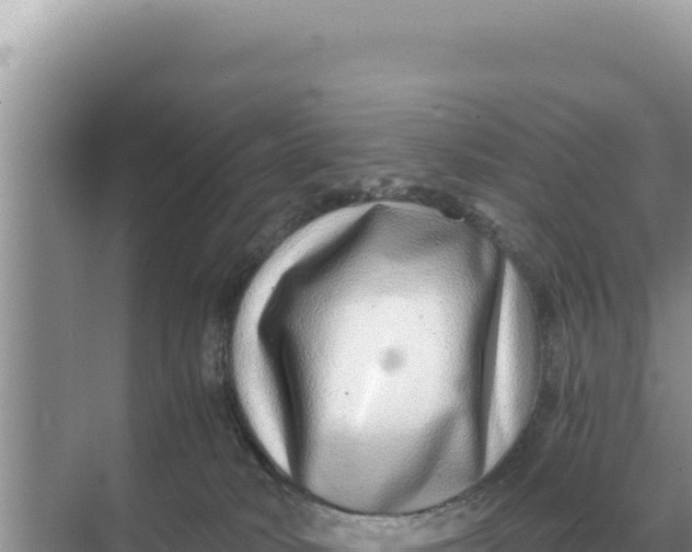 X0000068270034200605051826