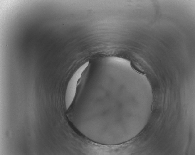 X0000068270035200605051826