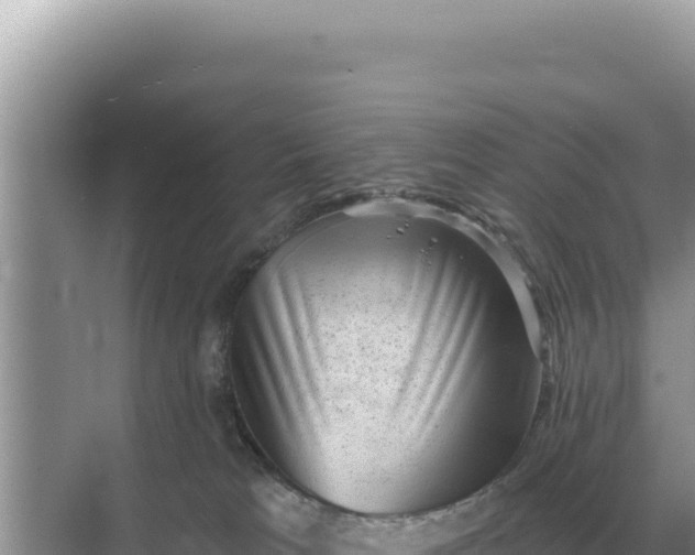 X0000068270037200605051826