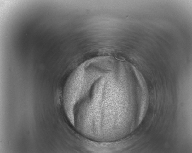 X0000068270038200605051826