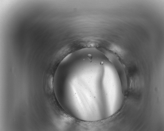 X0000068270041200605051826