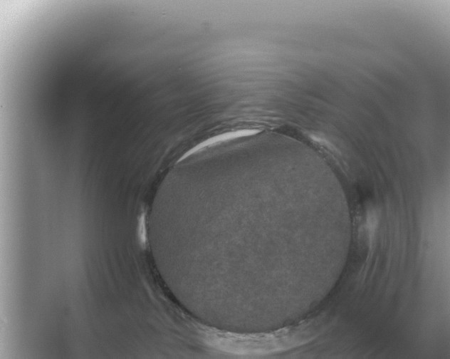 X0000068270042200605051826