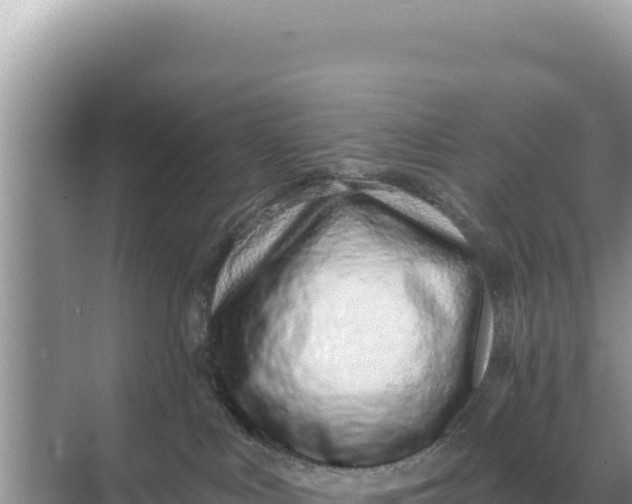 X0000068270043200605051826