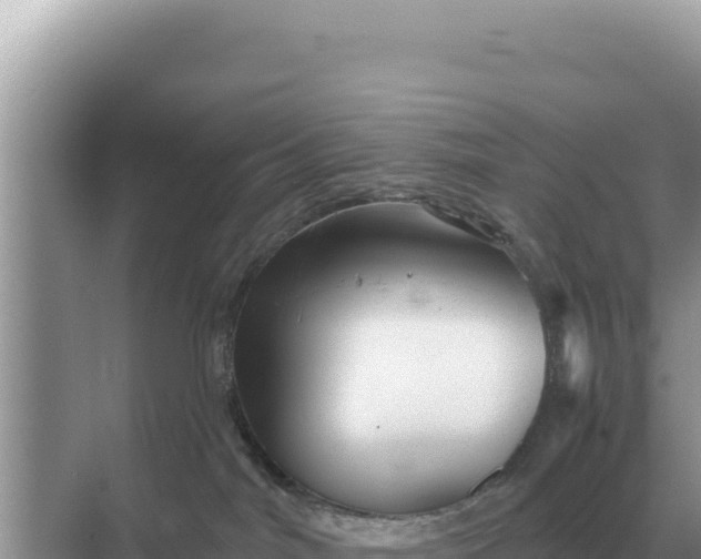 X0000068270044200605051826