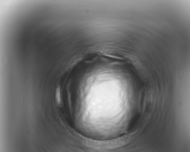 X0000068270046200605051826