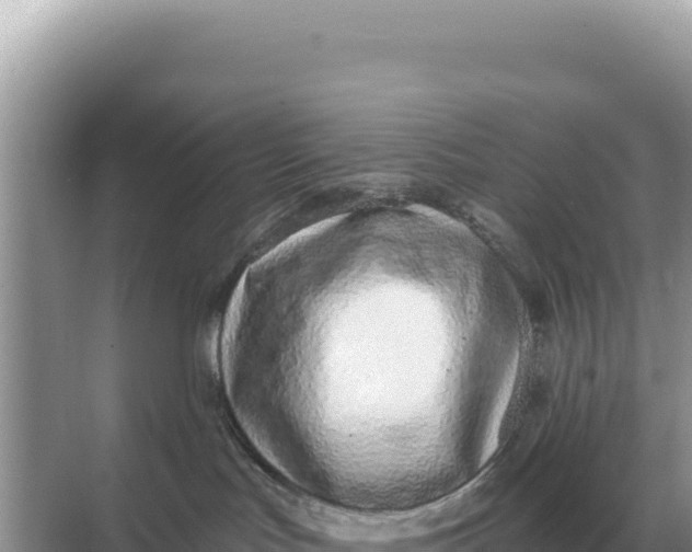 X0000068270047200605051826